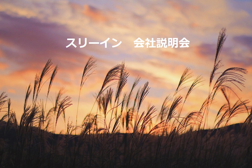 **2019年11月実施　個別会社説明会のご案内**